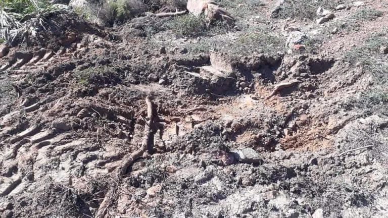 ✅ غابة اشراقة نواحي طنجة.. هل مهدت النار طريق الاستثمار